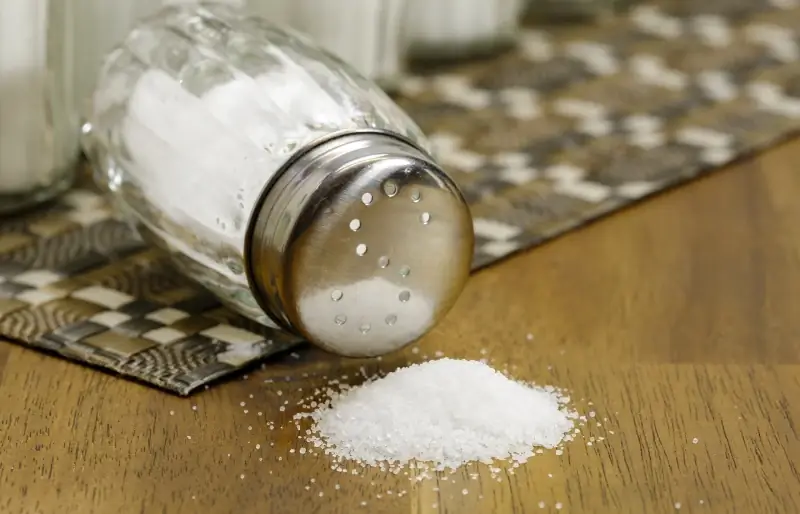 Kas kassid saavad soola süüa? Faktid & KKK