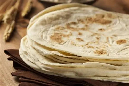 Pot pisicile să mănânce tortilla? Fapte & Întrebări frecvente