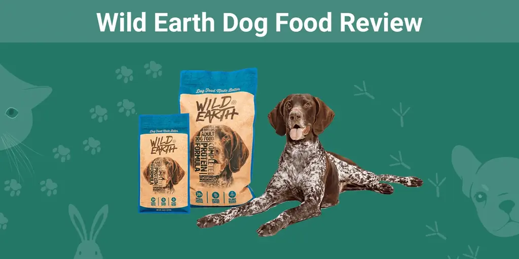 סקירת מזון לכלבים Wild Earth 2023: יתרונות, חסרונות & חוות דעת של מומחה