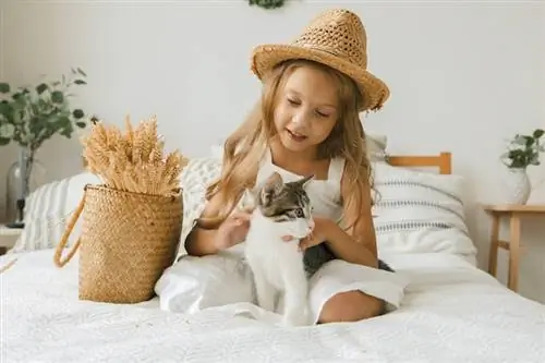 Katera je najboljša starost, da vaš otrok dobi mačko? Presenetljiv odgovor
