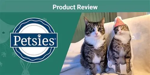 Examen des oreillers personnalisés pour animaux de compagnie Petsies 2023 : l'avis de notre expert