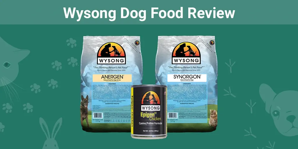 Wysong Dog Food Review 2023: richiami, vantaggi & contro