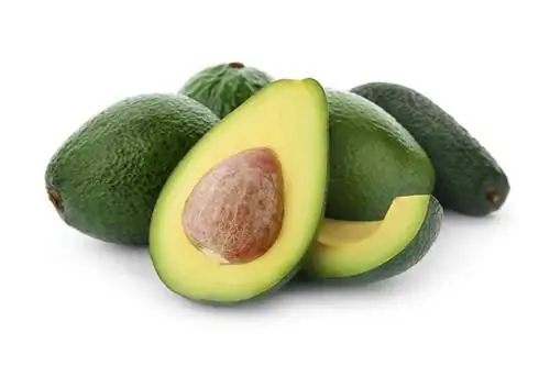 Kunnen konijnen avocado's eten? Tips voor gezonde voeding