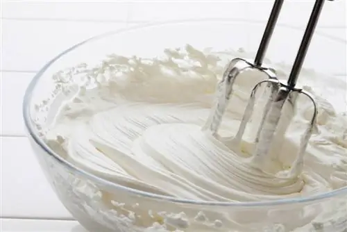 Cov miv puas noj whipped cream? Facts & FAQ