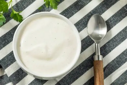 Maaari bang Kumain ng Ranch Dressing ang Mga Aso? Mga Katotohanan sa Nutrisyon na Inaprubahan ng Vet & Mga Panganib