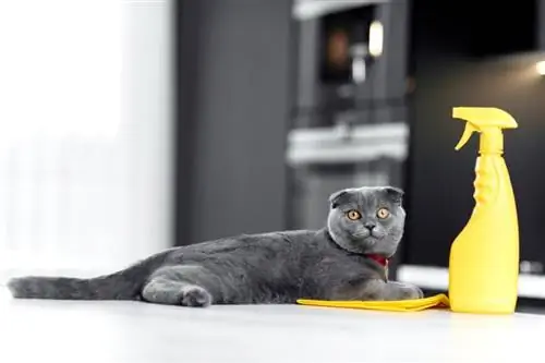 10 meilleurs sprays répulsifs pour chats pour meubles en 2023 – Avis &