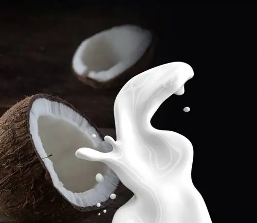 Mushuklar kokos sutini ichsa bo'ladimi? Faktlar & FAQ