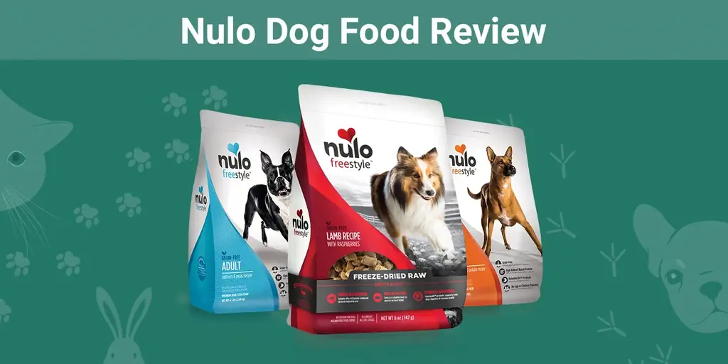 Recensione del cibo per cani Nulo: richiami, vantaggi & Contro