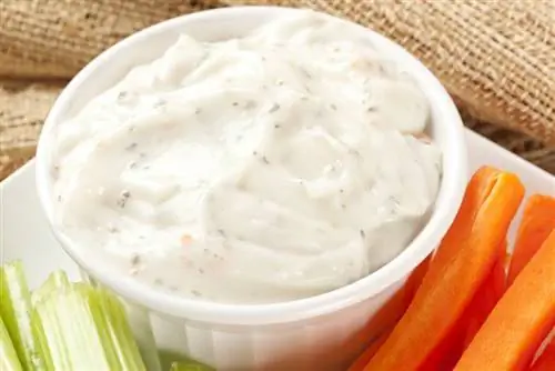 Kan katte Ranch Dressing eet? Feite & Gereelde vrae