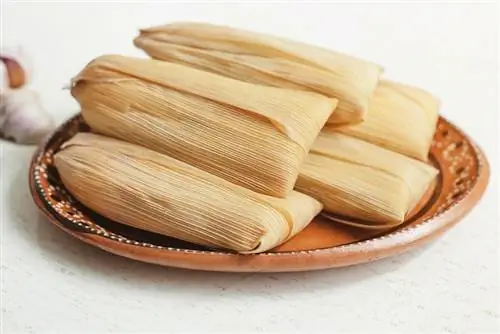 Kunnen honden tamales eten? Door dierenartsen goedgekeurde feiten & Veelgestelde vragen