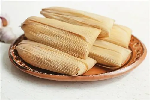 Kan hundar äta tamales? Veterinärgodkända fakta & FAQ