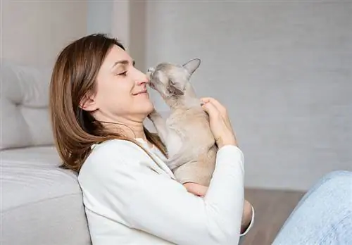 რატომ ყნოსავენ კატები თქვენს სუნთქვას? 5 მიზეზი
