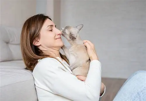 Kediler Neden Nefesinizin Kokusunu Alır? 5 Neden