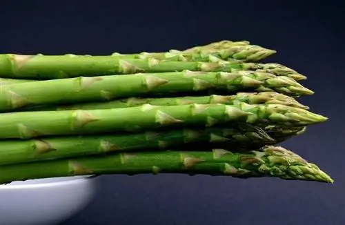 I criceti possono mangiare gli asparagi? Valori nutrizionali & Domande frequenti