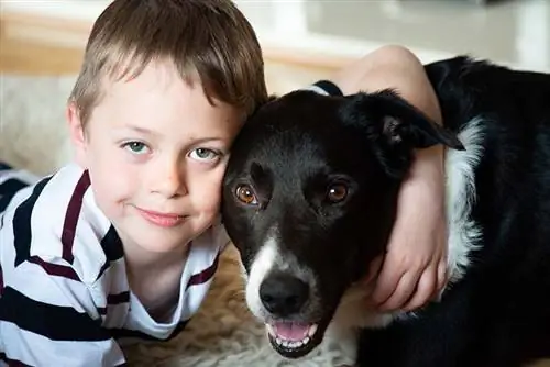 טיפול בכלבים לאוטיזם: מה זה & איך זה עובד