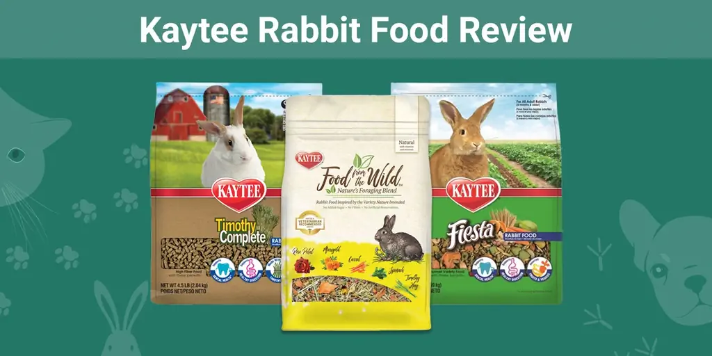 Обзор корма для кроликов Kaytee Rabbit Food 2023: отзывы, плюсы & минусы