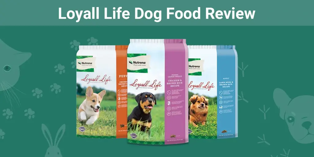 Loyall Life Dog Food Review 2023: Klady, zápory, & FAQ