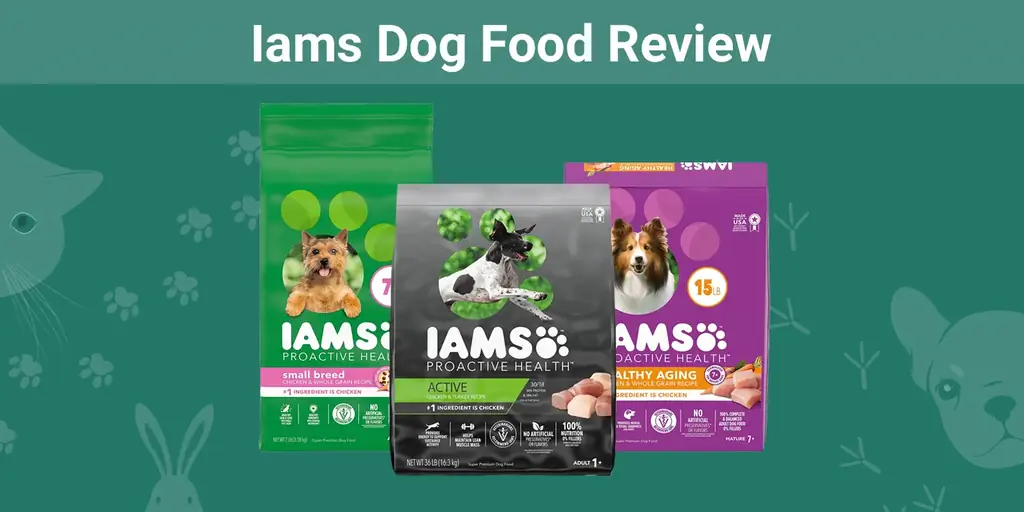 Pregled hrane za pse Iams 2023: prednosti, nedostaci, opoziva & FAQs