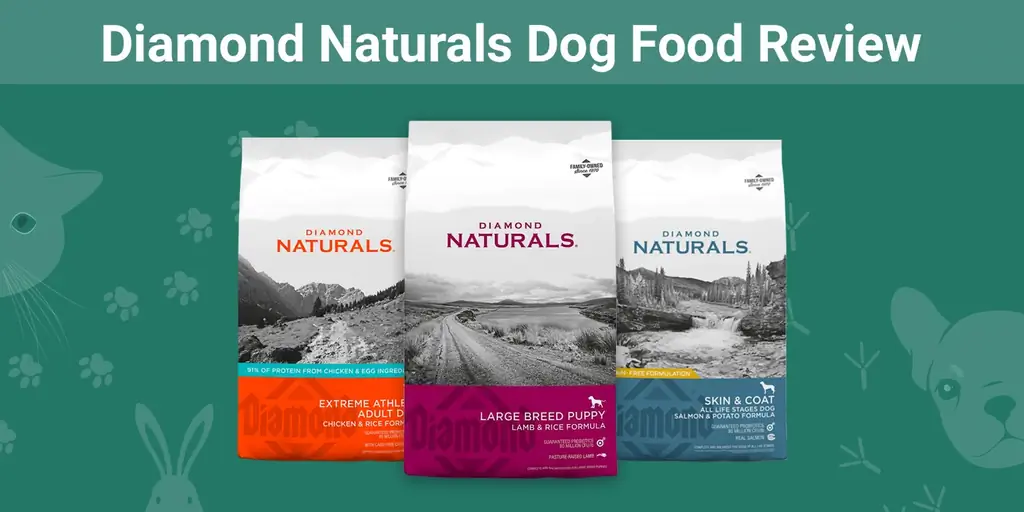 Recenzia krmiva pre psov Diamond Naturals z roku 2023: klady, zápory, stiahnutie & FAQ