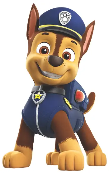 Paw Patrol'dan Chase Hangi Köpek Cinsi? Sunulan Karikatür Köpekler