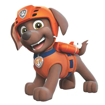 Paw Patrol'dan Zuma Hangi Köpek Cinsi? Sunulan Karikatür Köpekler