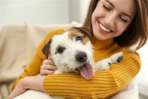 Hoeveel kost het om een hond te bezitten in het VK? Prijsgids 2023