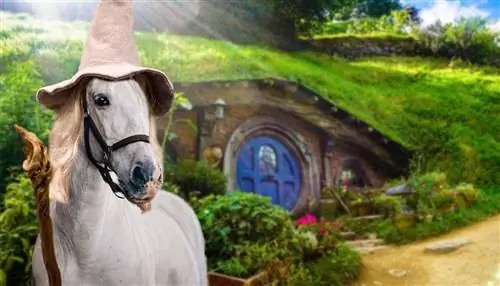 100+ Nama Kuda Terinspirasi Lord of the Rings: Gagasan untuk Prajurit & Kuda Pemberani