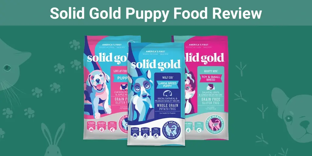 Solid Gold Puppy Food Review 2023: retiros del mercado, ventajas & Contras