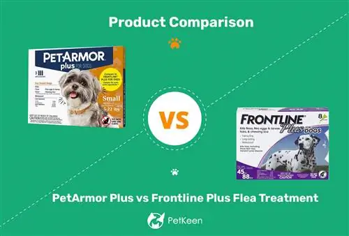 PetArmor Plus proti Frontline Plus proti bolham: (odgovor veterinarja)