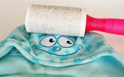 Hoe om troeteldierhare uit wasgoed te verwyder: 10 maklike maniere