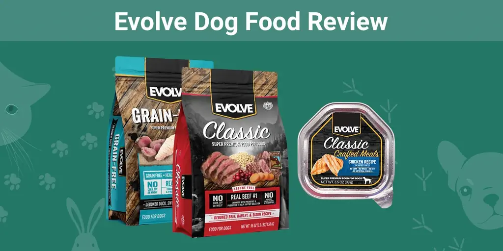 Evolve Dog Food Review 2023: еске түсіру, артықшылықтар & кемшіліктер