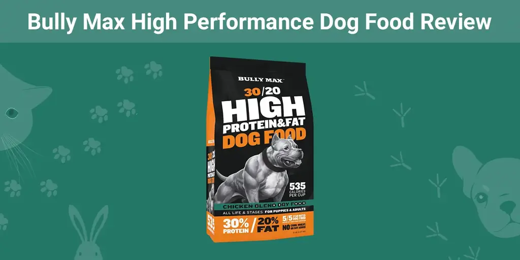 Bully Max High Performance Dog Food Review 2023 - voors, tegens, terugroepacties, & FAQ