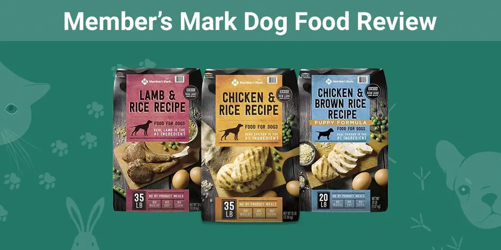 Member’s Mark Dog Food Review 2023: Πλεονεκτήματα, Μειονεκτήματα, Ανακλήσεις, & Συχνές ερωτήσεις