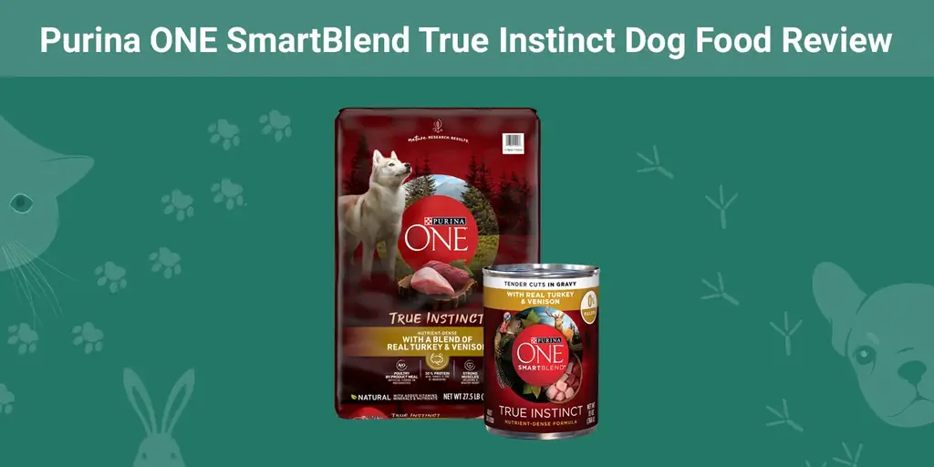 Purina ONE SmartBlend True Instinct מזון לכלבים סקירת מזון לכלבים: יתרונות, חסרונות, אזכורים, & שאלות נפוצות