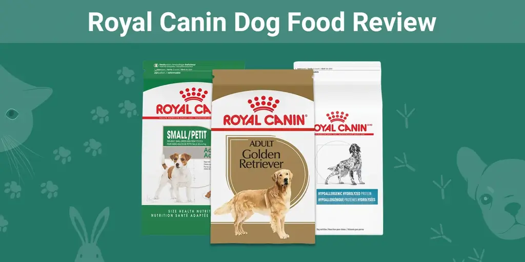 Recenzia krmiva pre psov Royal Canin 2023 – klady, zápory, stiahnutia z trhu, & často kladené otázky