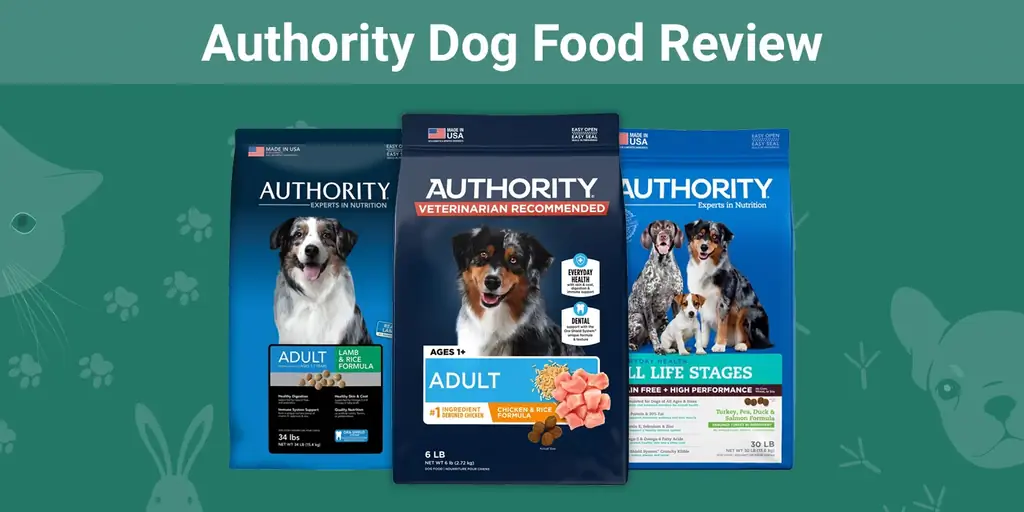 Authority Dog Food Review 2023: Плюсове, минуси, изземвания, & ЧЗВ