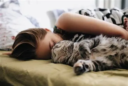 Bisakah Saya Terkena Cacingan dari Kucing Saya yang Tidur di Tempat Tidur Saya? Risiko & Pencegahan