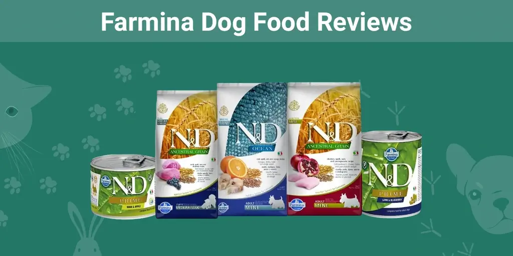 Pregled Farmina hrane za pse 2023: prednosti, nedostaci, opozivi & FAQ