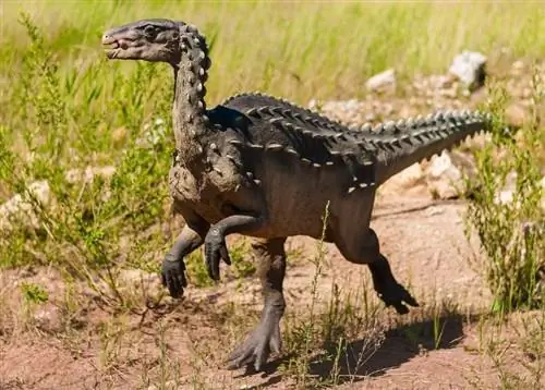 نزدیکترین گونه زنده نسبت به دایناسورها کدام گونه است؟ پاسخ شگفت انگیز