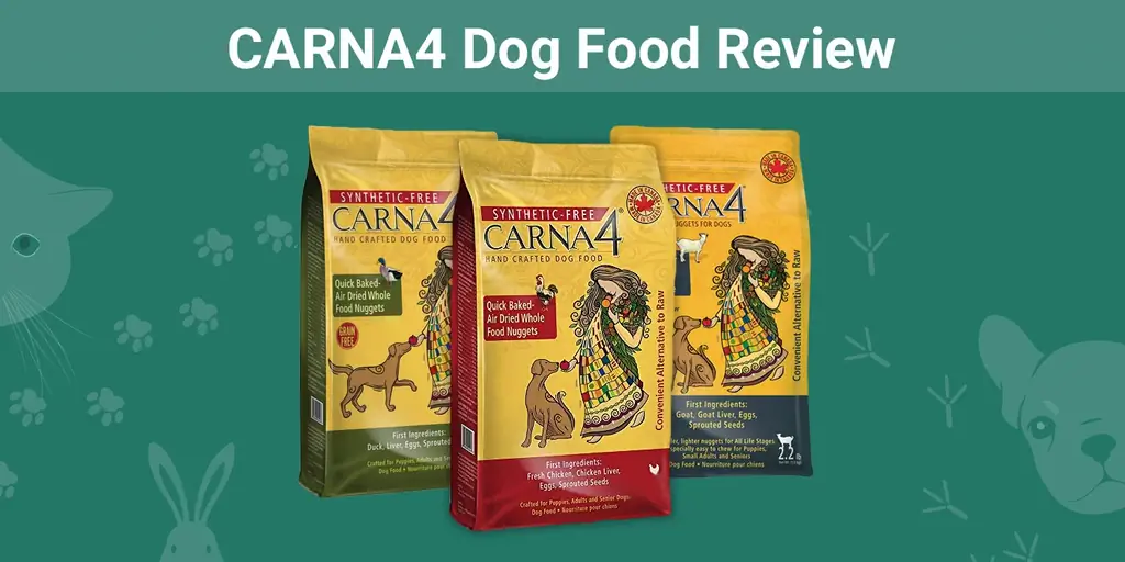 CARNA4 šunų ėdalo apžvalga 2023 m.: privalumai, trūkumai, atsišaukimai & DUK
