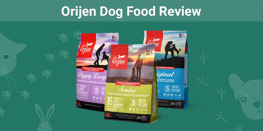 2023 m. Orijen šunų maisto apžvalga: privalumai, trūkumai, atsišaukimai & DUK