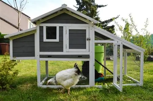 14 DIY Chicken Coop Plans You Can Make Today (Nrog duab)