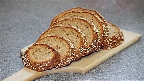 Kunnen hamsters brood eten? Feiten & Veelgestelde vragen