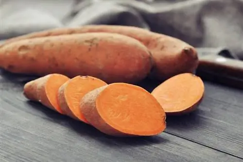 Гвинея чочколору таттуу картошканы жей алабы? Вет тарабынан бекитилген Nutritional Facts & Маалымат