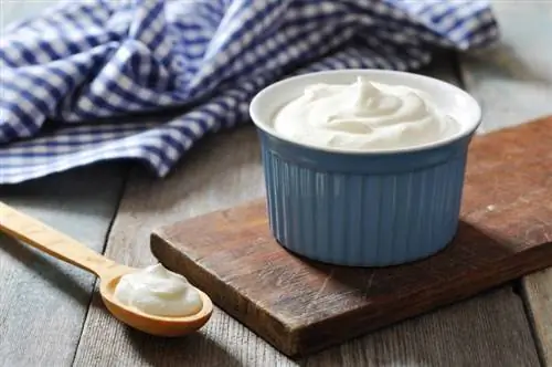 Kan katter äta yoghurt? (grekiska, vanilj, vanlig) Fakta & FAQ