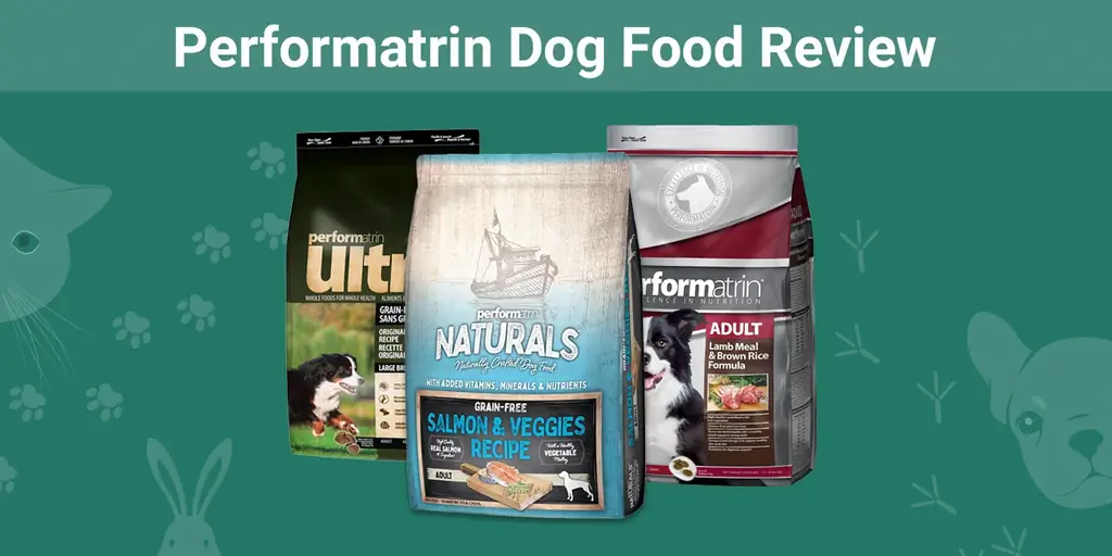 Revisión de alimentos para perros Performatrin 2023: retiros del mercado, ventajas & Contras