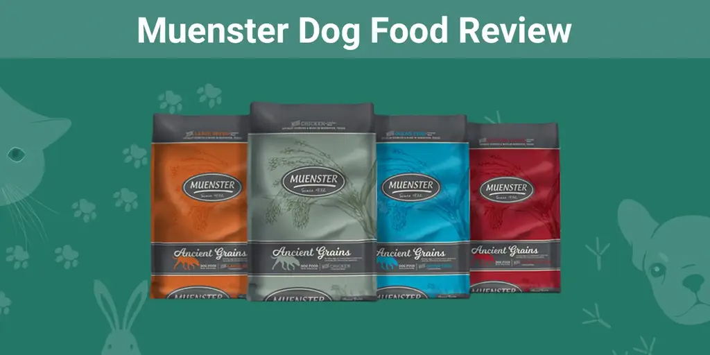 Muenster Dog Food Review 2023: Fordele, ulemper, tilbagekaldelser & ofte stillede spørgsmål