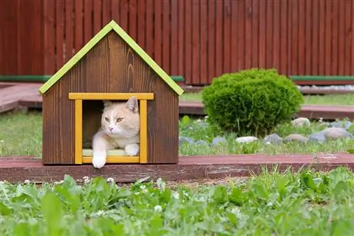 9 страхотни, устойчиви на атмосферни влияния къщи за котки на открито, които можете да построите днес
