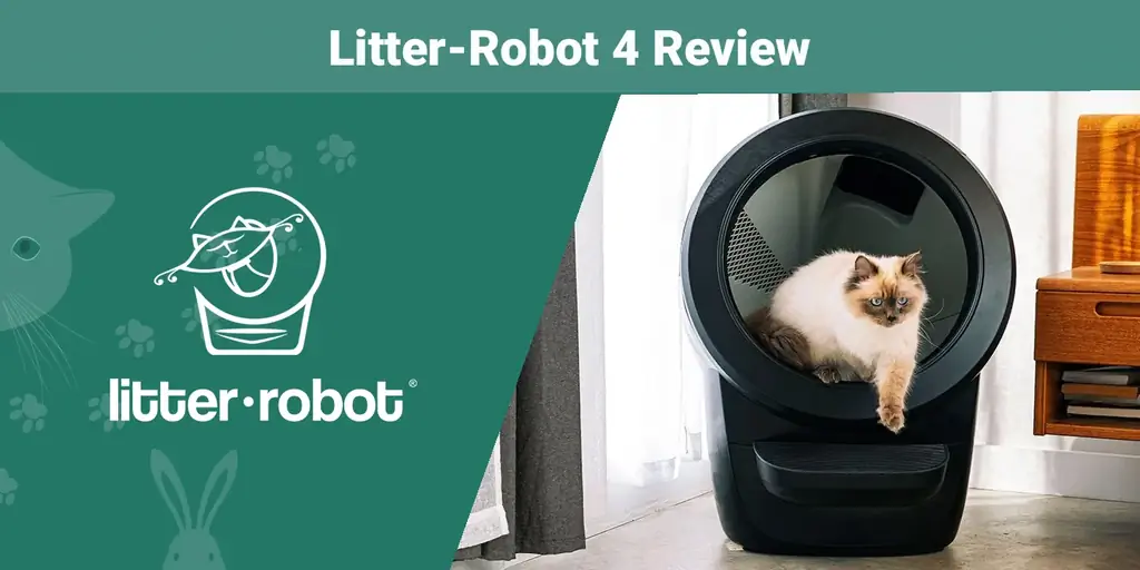 Litter-Robot 4 Review 2023: Peb Cov Kws Tshaj Lij Xav (Peb Kuaj Nws!)