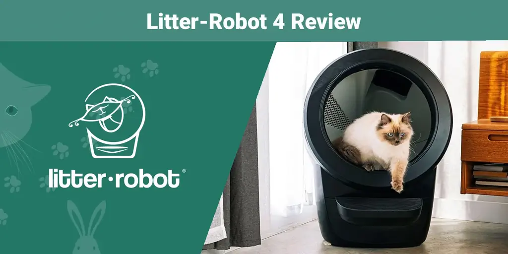 Litter-Robot 4 Review 2023: Ang Opinyon ng Aming Eksperto (Sinubukan Namin Ito!)